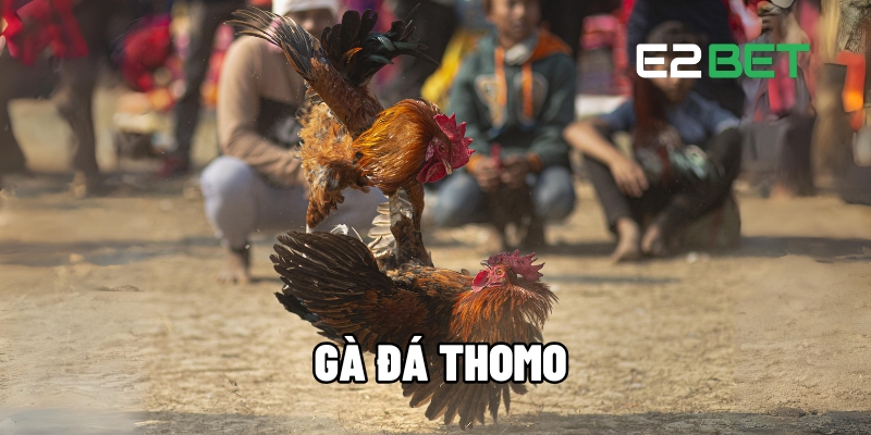 ga da thomo 1