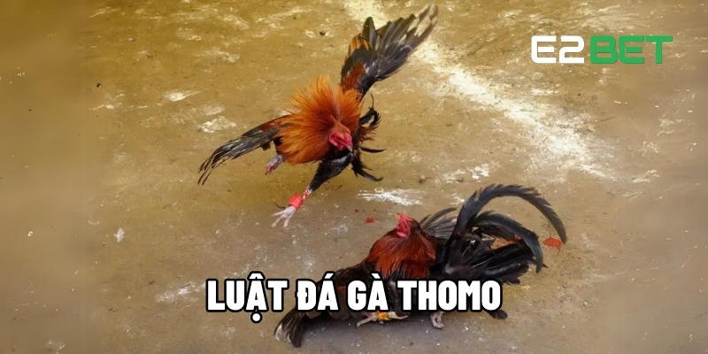 luat da ga thomo 1